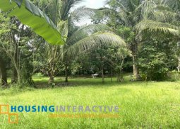 commercial lot for sale in amadeo, cavite