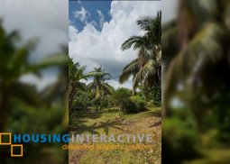 agricultural lot for sale in mataas na kahoy, batangas