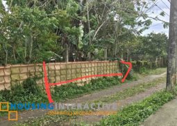 rush sale - 170sqm lot amadeo area, just p1m