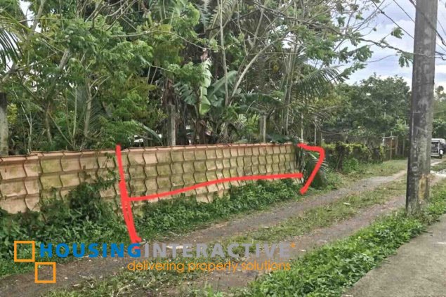 rush sale - 170sqm lot amadeo area, just p1m