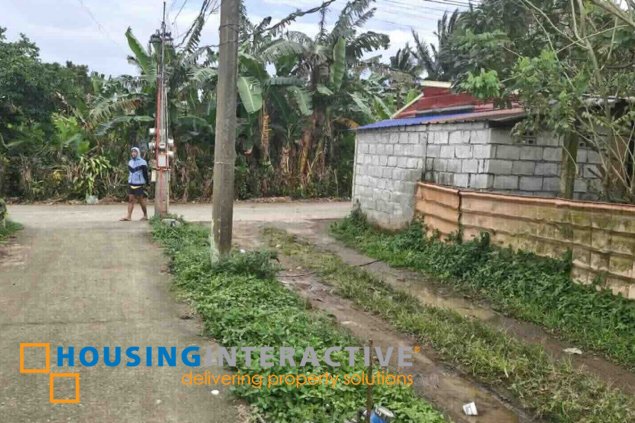 rush sale - 170sqm lot amadeo area, just p1m