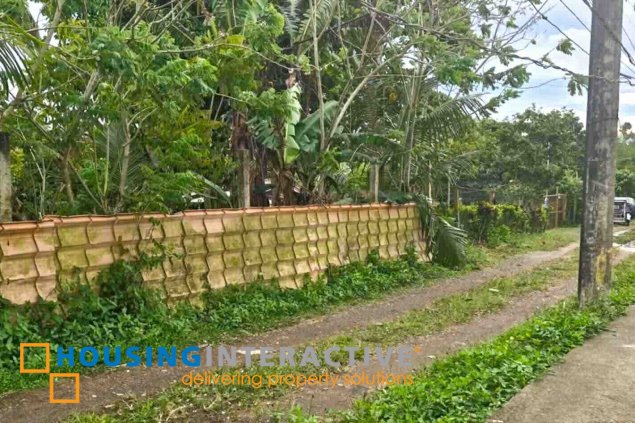 rush sale - 170sqm lot amadeo area, just p1m