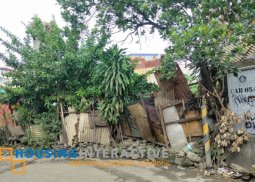 lot for sale in parada-maysan, valenzuela city