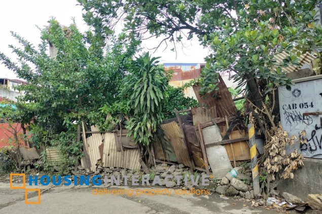 lot for sale in parada-maysan, valenzuela city