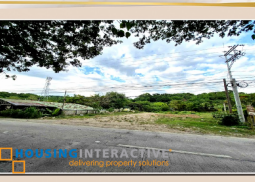 prime roadside lots for sale in naguilian, la union