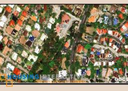 prime lot for sale in ayala alabang vilage