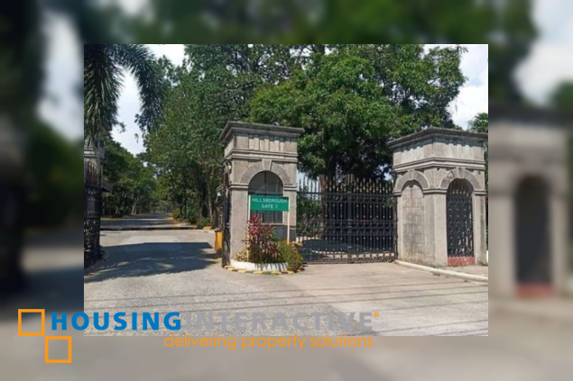 house for sale in hillsborough alabang