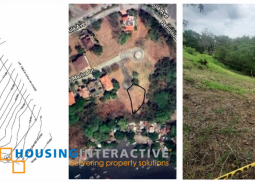 lot for sale peninsula de punta fuego