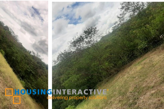 lot for sale peninsula de punta fuego