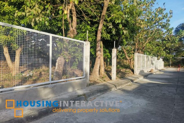 lot for rent in imus, cavite