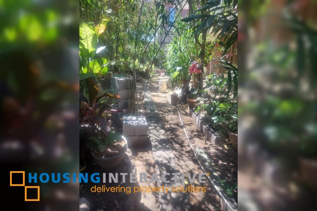 house for rent in greenhills west
