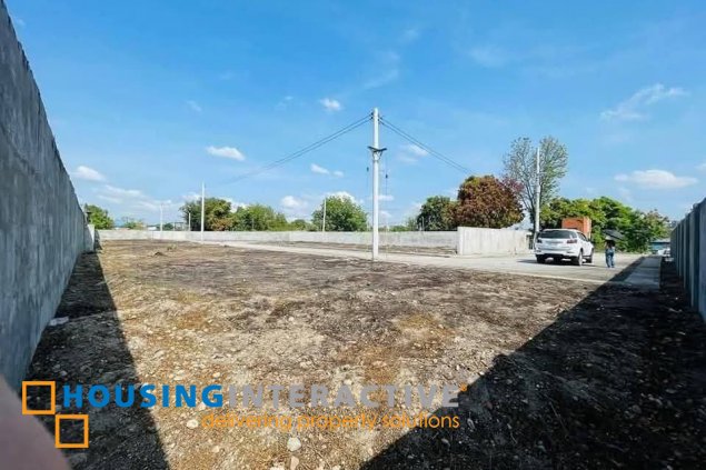 commercial lot for sale in san roque, tarlac