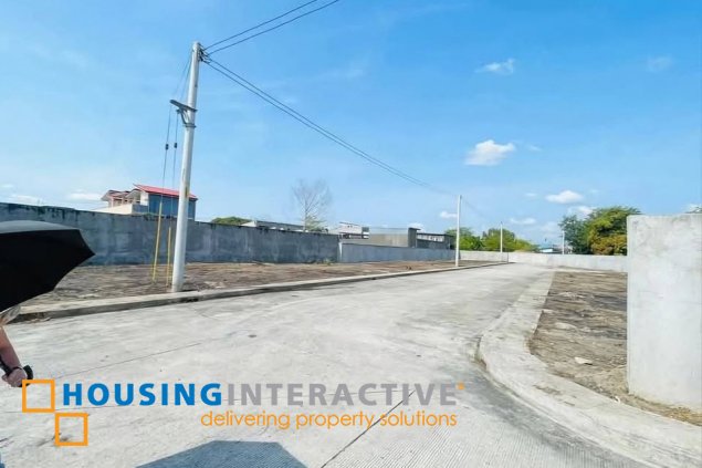 commercial lot for sale in san roque, tarlac