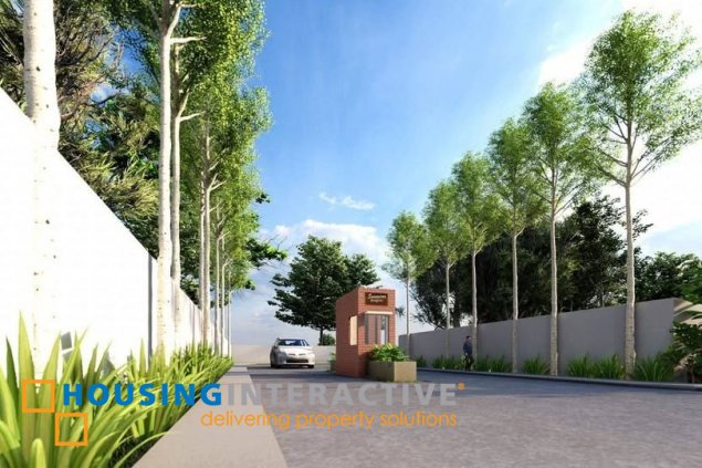 commercial lot for sale in san roque, tarlac