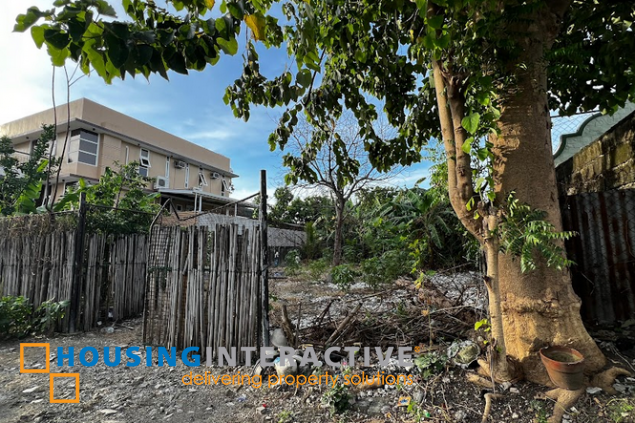 lot for sale in multinational village, paranaque
