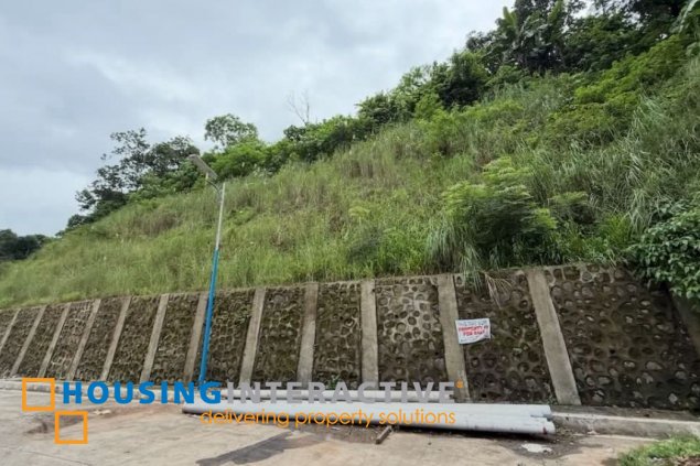 lot for sale in antipolo, rizal