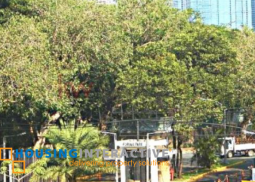 house for rent in north forbes park