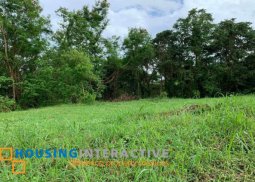 residential lot for sale in ayala greendfield estates