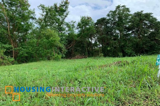 residential lot for sale in ayala greendfield estates