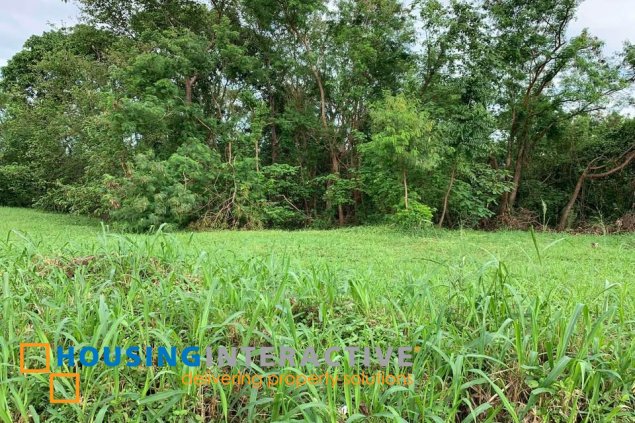 residential lot for sale in ayala greendfield estates