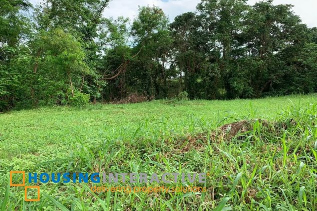 residential lot for sale in ayala greendfield estates