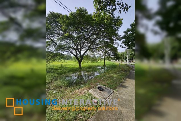 rare prime altaraza bulacan commercial lot for sale