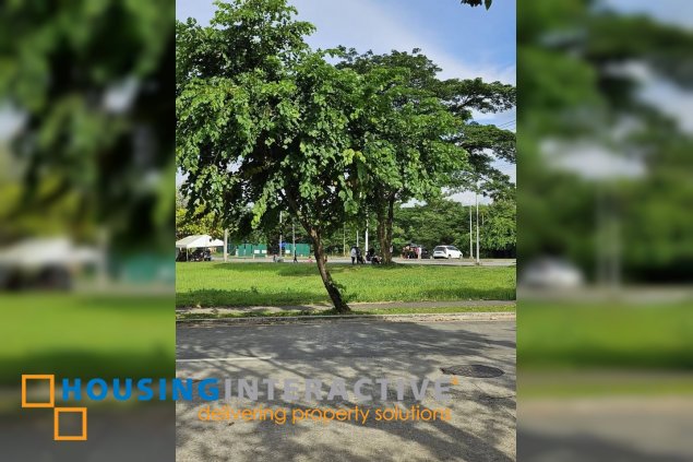 rare prime altaraza bulacan commercial lot for sale
