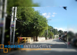 house for sale in new manila