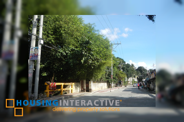 house for sale in new manila