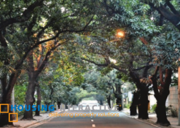 townhouse for sale in new manila