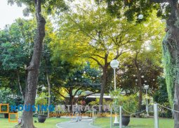 for rent 2-storey h&l in dasmarinas village