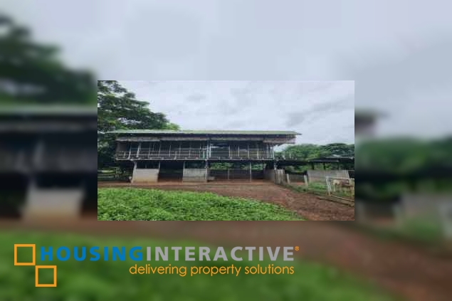 lot for sale in batangas