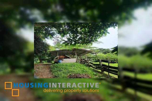 lot for sale in batangas