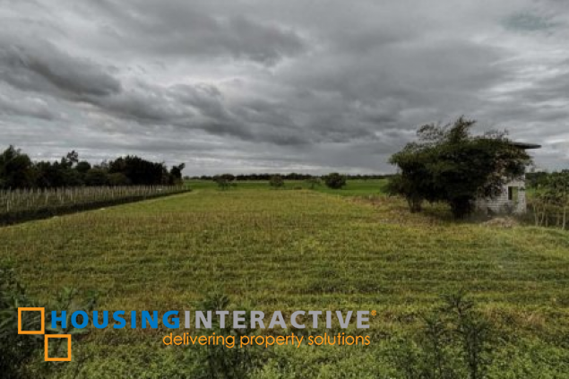 agricultural lot for sale in bulacan