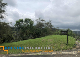 canyon woods for sale lots in batangas