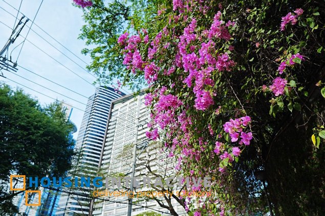 fully furnished 3br unit for sale in the trion towers