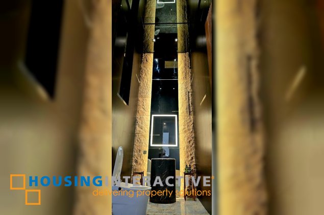 fully furnished brand new & designer house & lot for sale in the enclave, daang hari