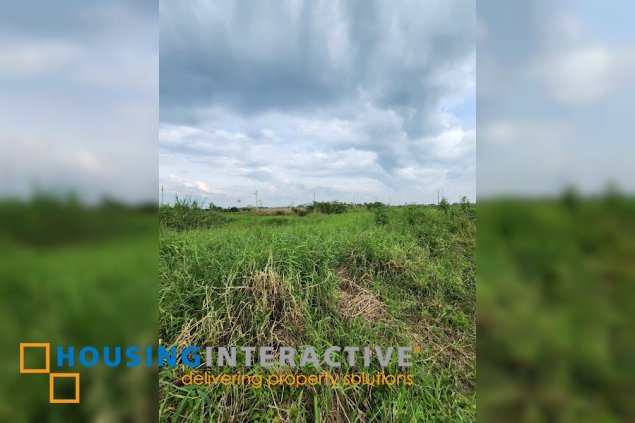 prime industrial lot for sale in crescendo industrial park, tarlac