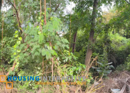 lot for sale in blue ridge a