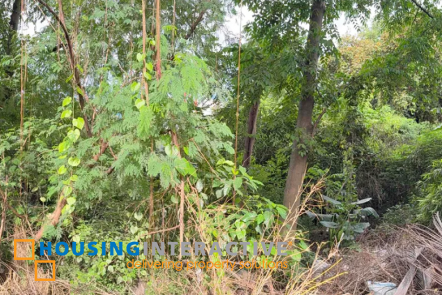 lot for sale in blue ridge a