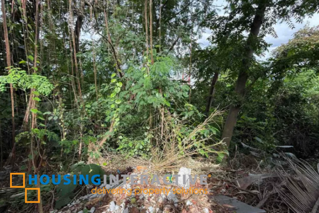 lot for sale in blue ridge a