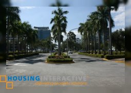 lot for sale in ayala alabang village