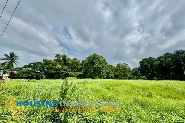 commercial lot for sale in antipolo