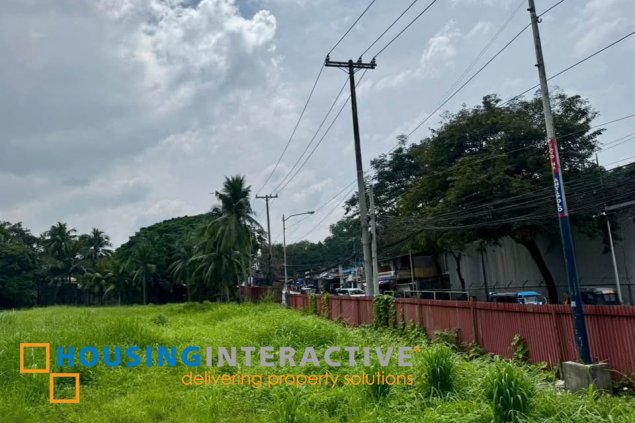 commercial lot for sale in antipolo