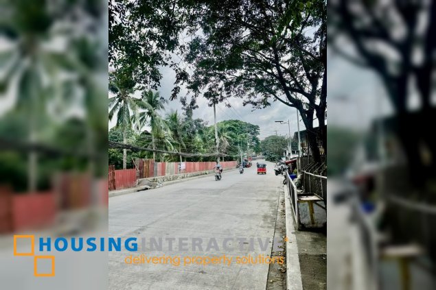 commercial lot for sale in antipolo