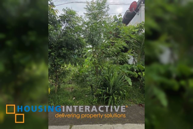 residential vacant lot for sale in silang, cavite