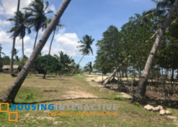 commercial beach property lot for sale in palawan