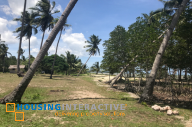 commercial beach property lot for sale in palawan