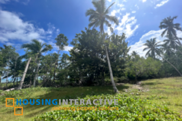 commercial beach property lot for sale in palawan