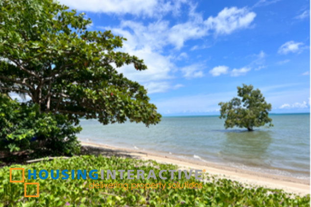 commercial beach property lot for sale in palawan